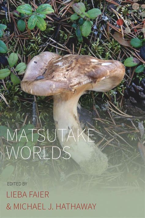 Matsutake Book