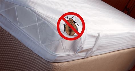 Mattresses.covers For Bed Bugs