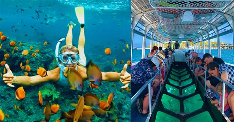 REVIEW Glass Bottom Boat Tours in Maui Lahaina Boat Tours Reef