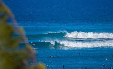 maui 2018 surf report
