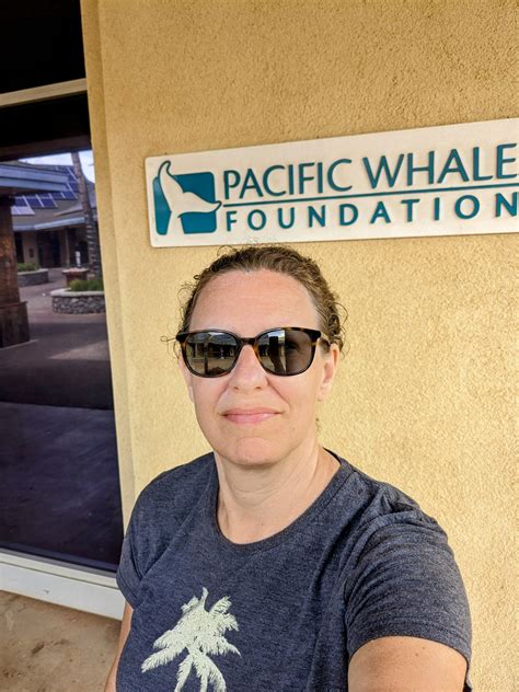 maui whale count 2023