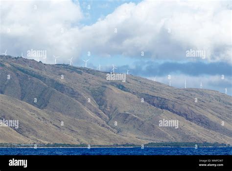 Maui Wind Mills