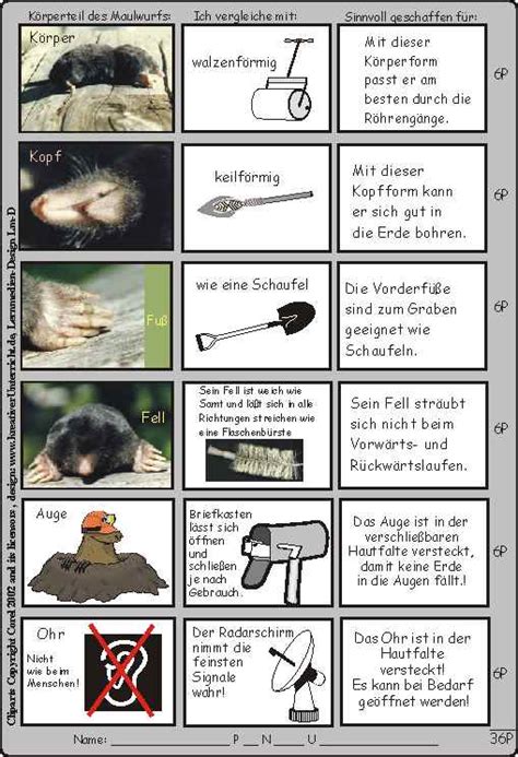 Blog Der Wühler / Gedicht über einen Maulwurf & Arbeitsblätter bei Lehrermarktplatz