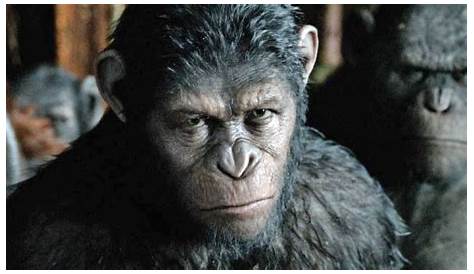 WAR FOR THE OF THE APES “Bad Ape and Maurice” Clip