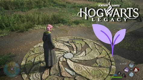 Hogwarts Legacy Confirms More Features Coming in Big June 6 Update