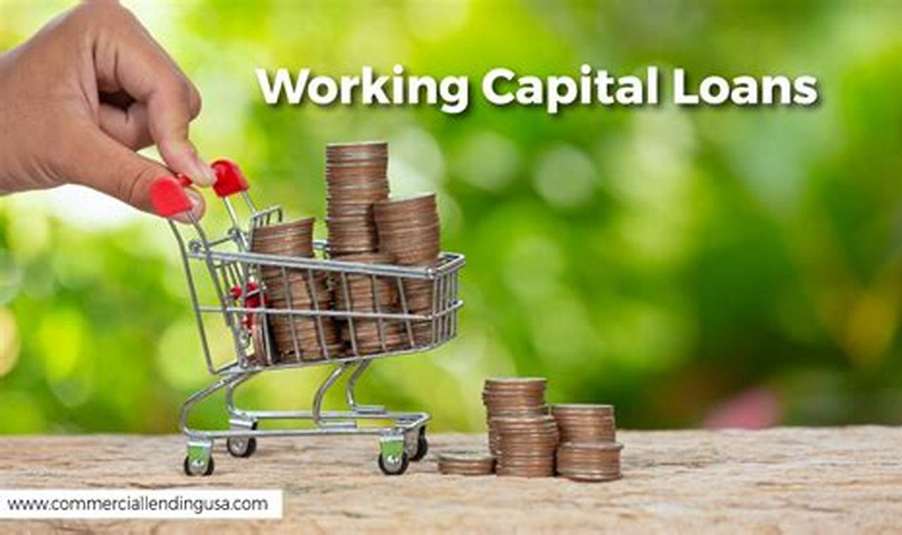 Unveiling Max Capital Loans: A Path to Financial Empowerment