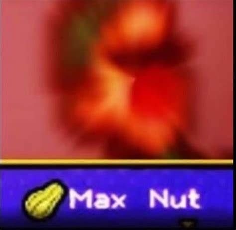 Nut Super Nut Ultra Nut Max Nut Meme on ME.ME