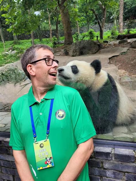 maximize panda volunteer