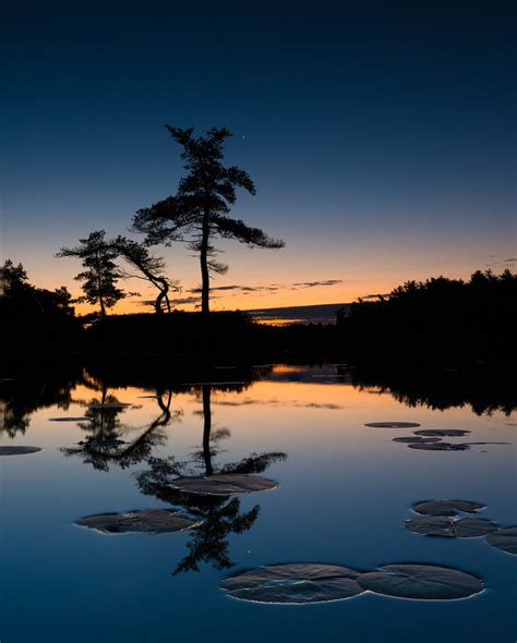 Maximum Depth Of Field Photography