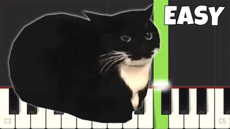 maxwell cat theme song