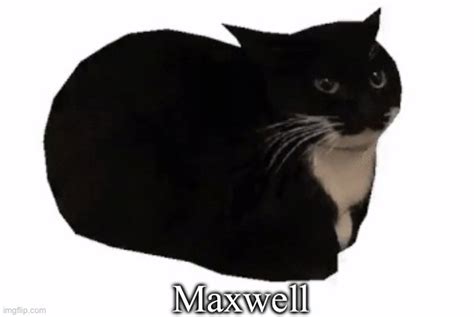 maxwell meme 1 hour