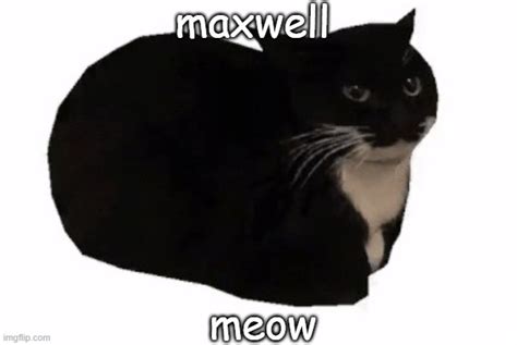 maxwell the cat meme png