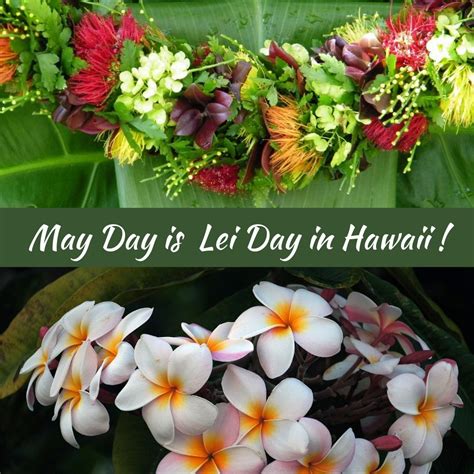 may day hawaii