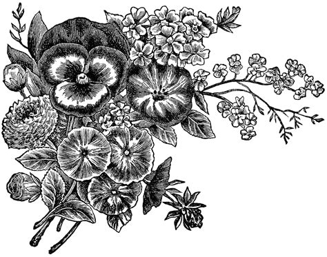 may flowers images black and white clip art