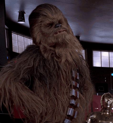 may the 4th be with you chewbacca gif