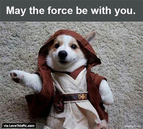 may the force be with you funny