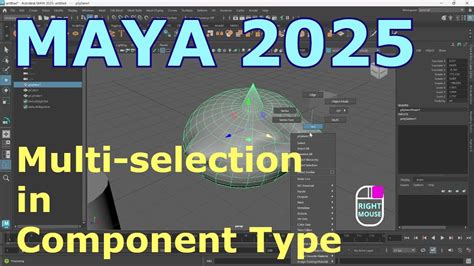 Maya 2025 Tutorial
