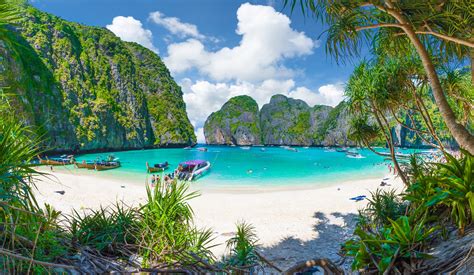 maya bay phi phi