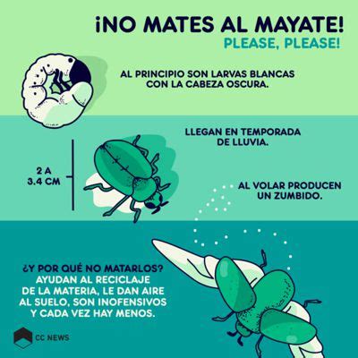 Mayates Los avioncitos de antes