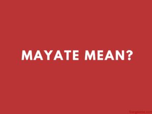 ¿Qué es un mayate y porqué no deberías matarlo? Bioguia