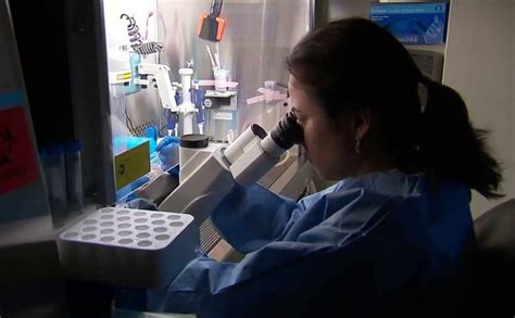 mayo clinic stem cell research