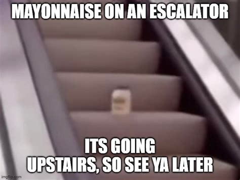Mayo On Escalator Meme