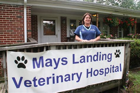 mays landing veterinary hospital