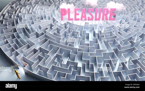 maze pleasure
