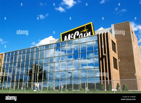 mccain foods ltd new brunswick