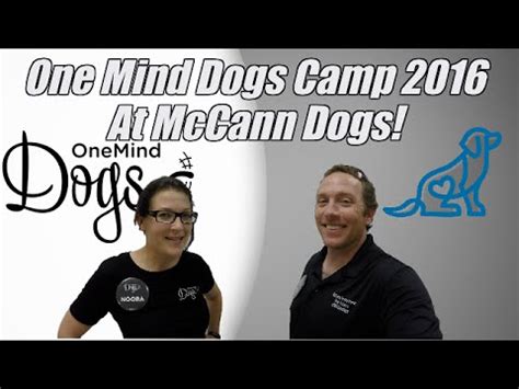 mccann professional dog trainers