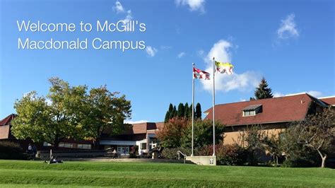 mcdonald's campus nz
