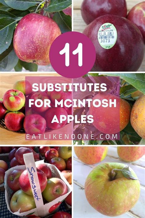 Mcintosh Apples Substitute