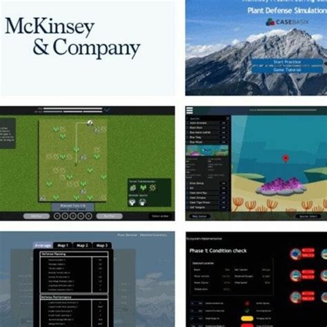 mckinsey game simulation free