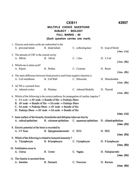 mcq questions for class 5 with answers pdf
