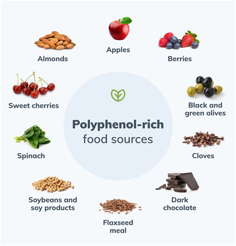 mcts and polyphenols