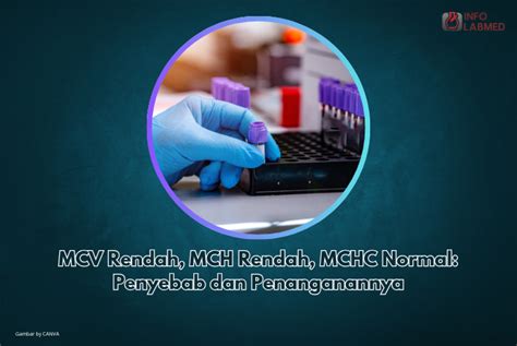 mcv mchc rendah