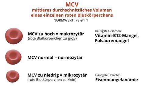 Rdw Ery Verteilungsbreite Erhöht Captions Lovers