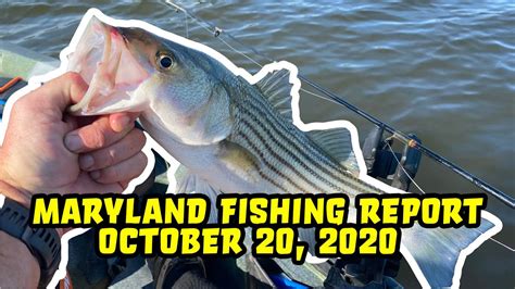 MD Fishing Report