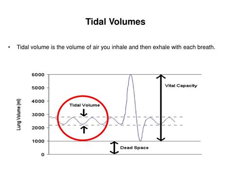 mdcalc tidal volume