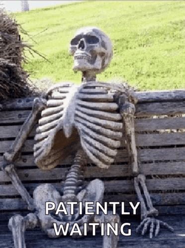 Me waiting skeleton MEME by Justicewolf337 on DeviantArt