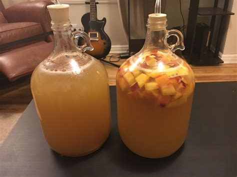 Mead Fermentation In Secondary