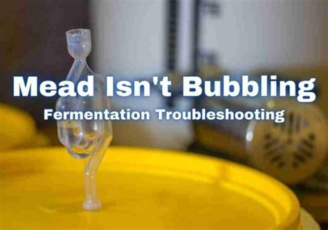 Mead Hasn't Started Bubbling