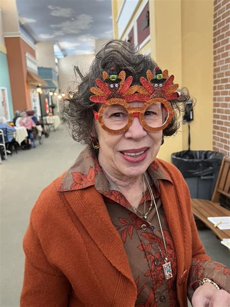 meadow falls of chagrin