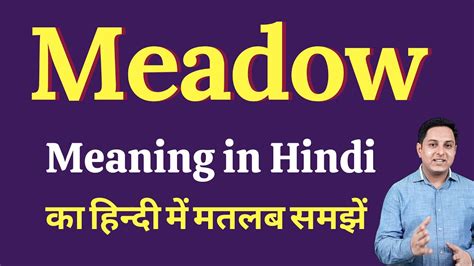 meadow means in hindi