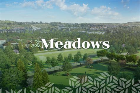 Meadows Lake Forest