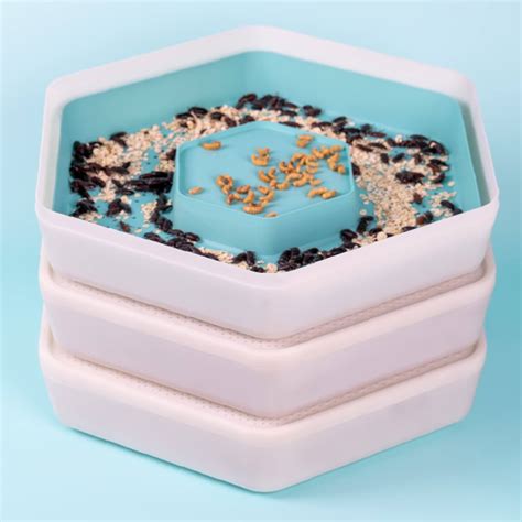 Mealworm Growing Pod