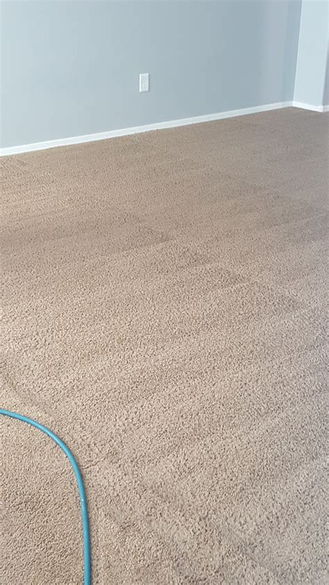 Mean Clean Carpet Cleaning