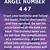 meaning of 447