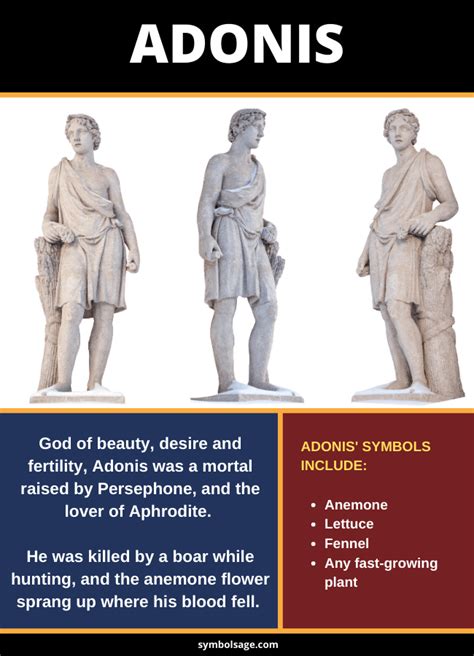 meaning adonis