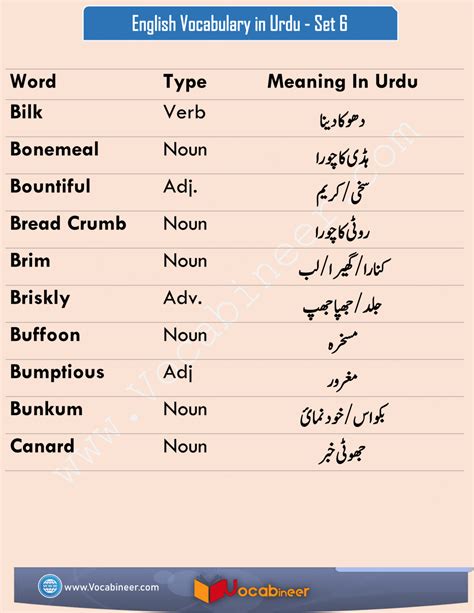 meaning in urdu with example in english